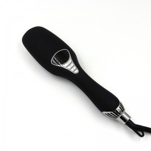 2 in 1 professional electric hair dryer comb