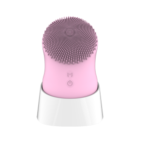 cleansing-brush-3